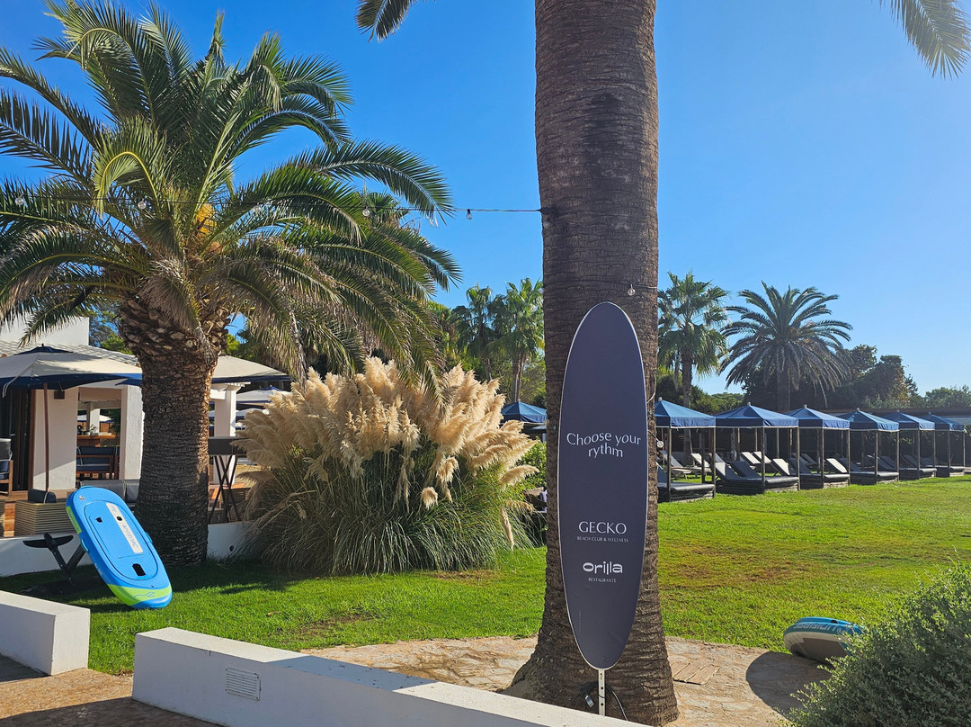 Gecko Formentera, a Small Luxury Hotel of the World主图