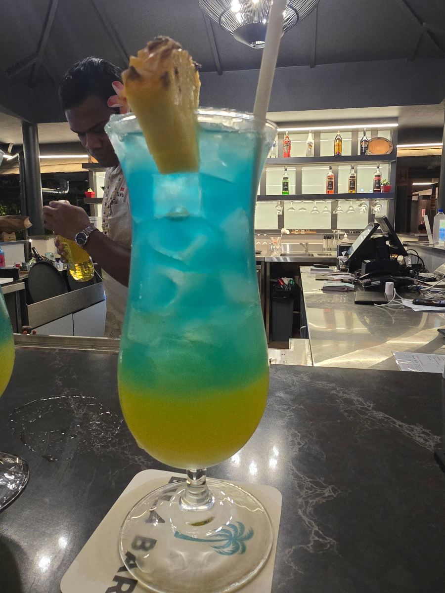 塔努阿国际酒店-旅行者