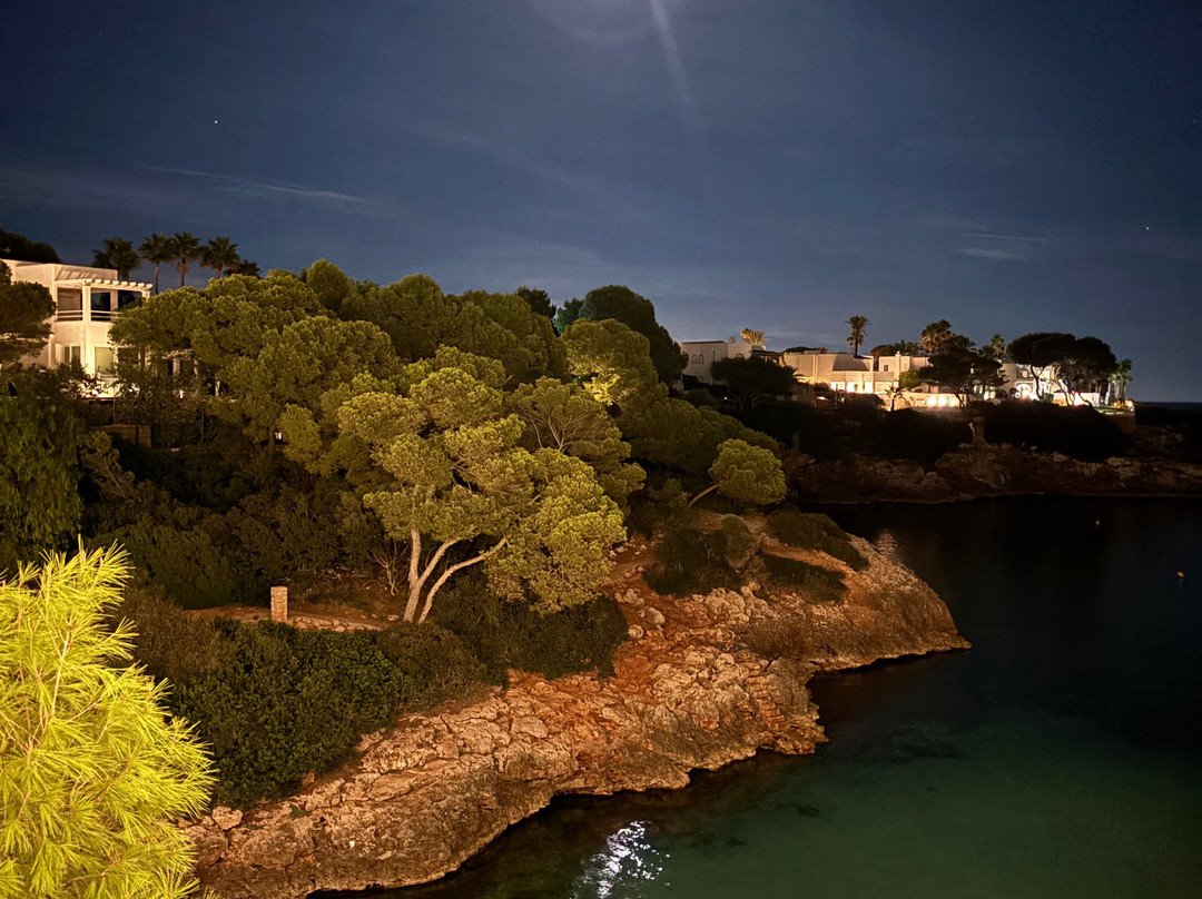 AluaSoul Mallorca Resort - Adults Only主图