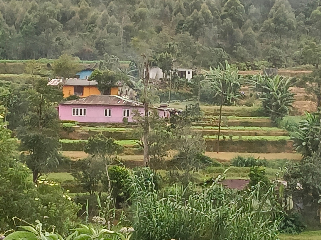 Nanuoya to Ella Train Ride-Nanu Oya必去景点