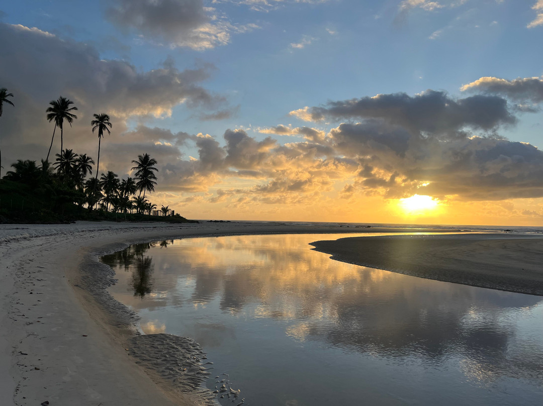 Cururupe Beach-Ilheus必去景点