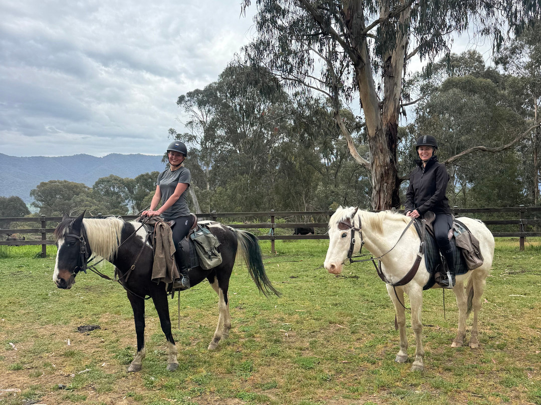 Bogong Horseback Adventures-Tawonga必去景点