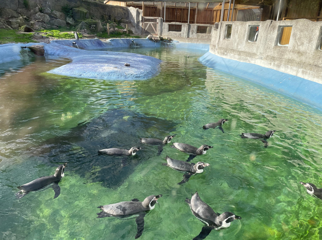 Newquay Zoo-纽奎必去景点