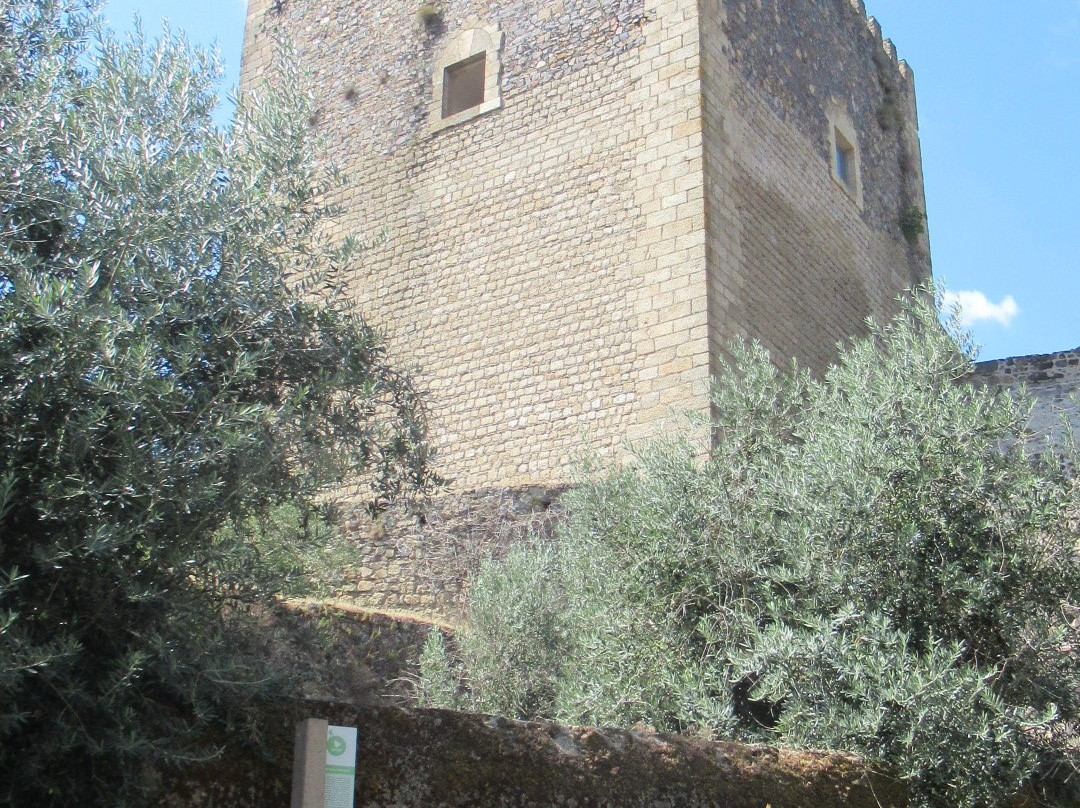Castelo de Castelo de Vide-Castelo de Vide必去景点