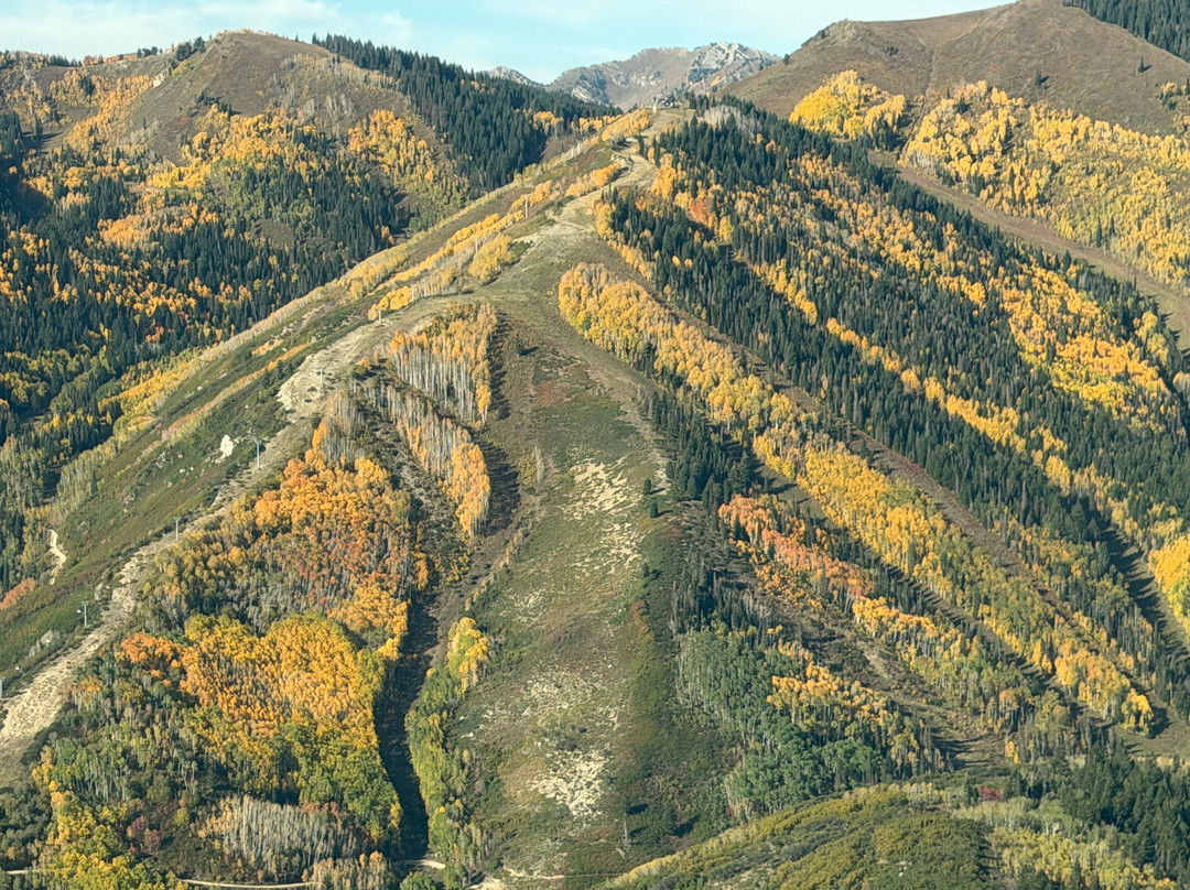 Redtail Air Adventures-莫阿布必去景点