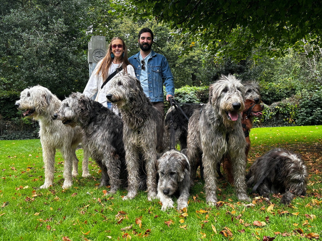 Wolfhound Adventure Tours-Baldoyle必去景点