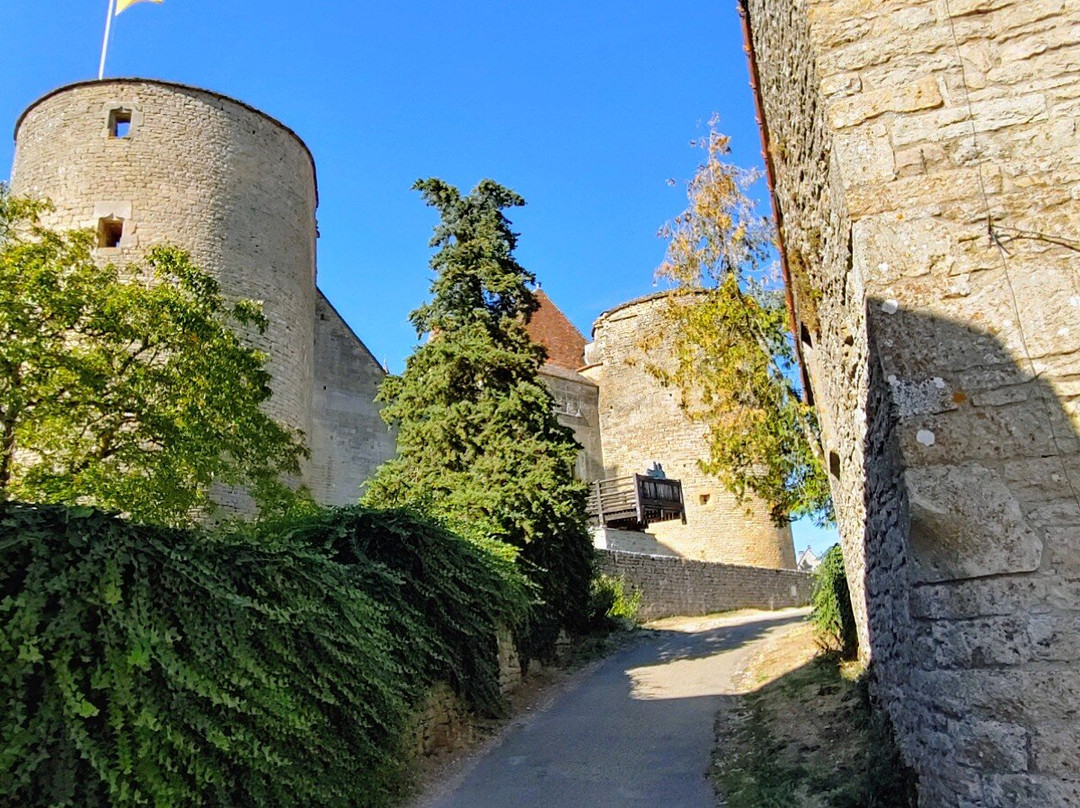 Chateau de Commarin-Commarin必去景点