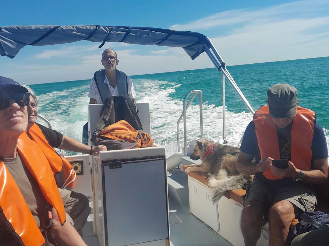 Rota das Ilhas - Boat Tours-奥良必去景点