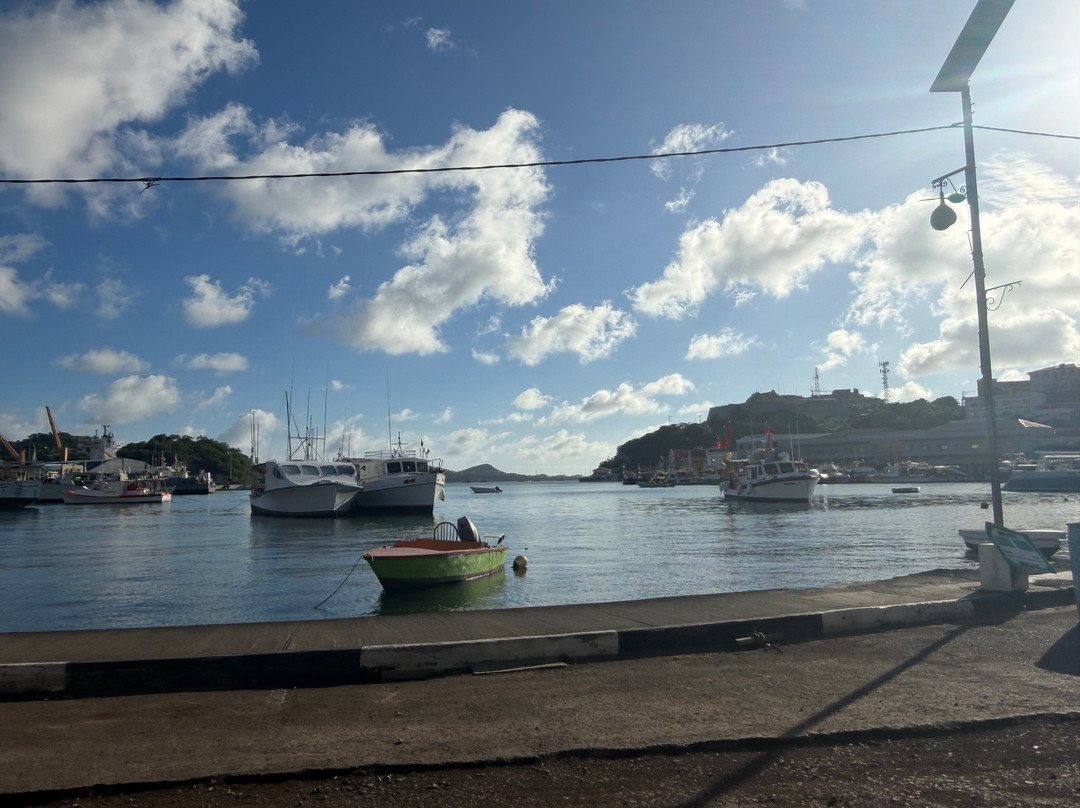 A Sweet Grenada Tours & Taxi-格林纳达必去景点