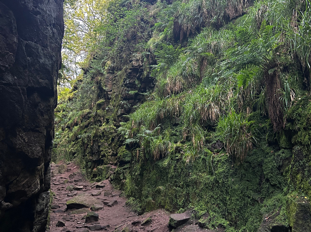 Lud's Church-Gradbach必去景点