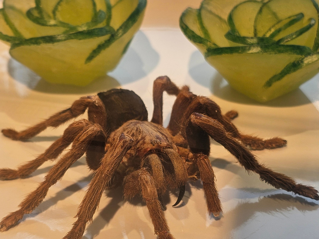 Disgusting Food Museum-马尔默必去景点