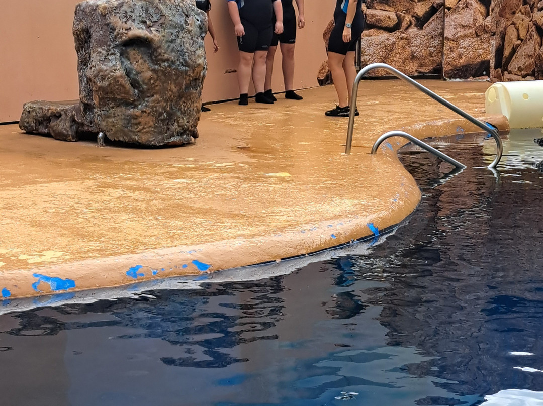 海洋世界水族馆-贝尼多姆必去景点
