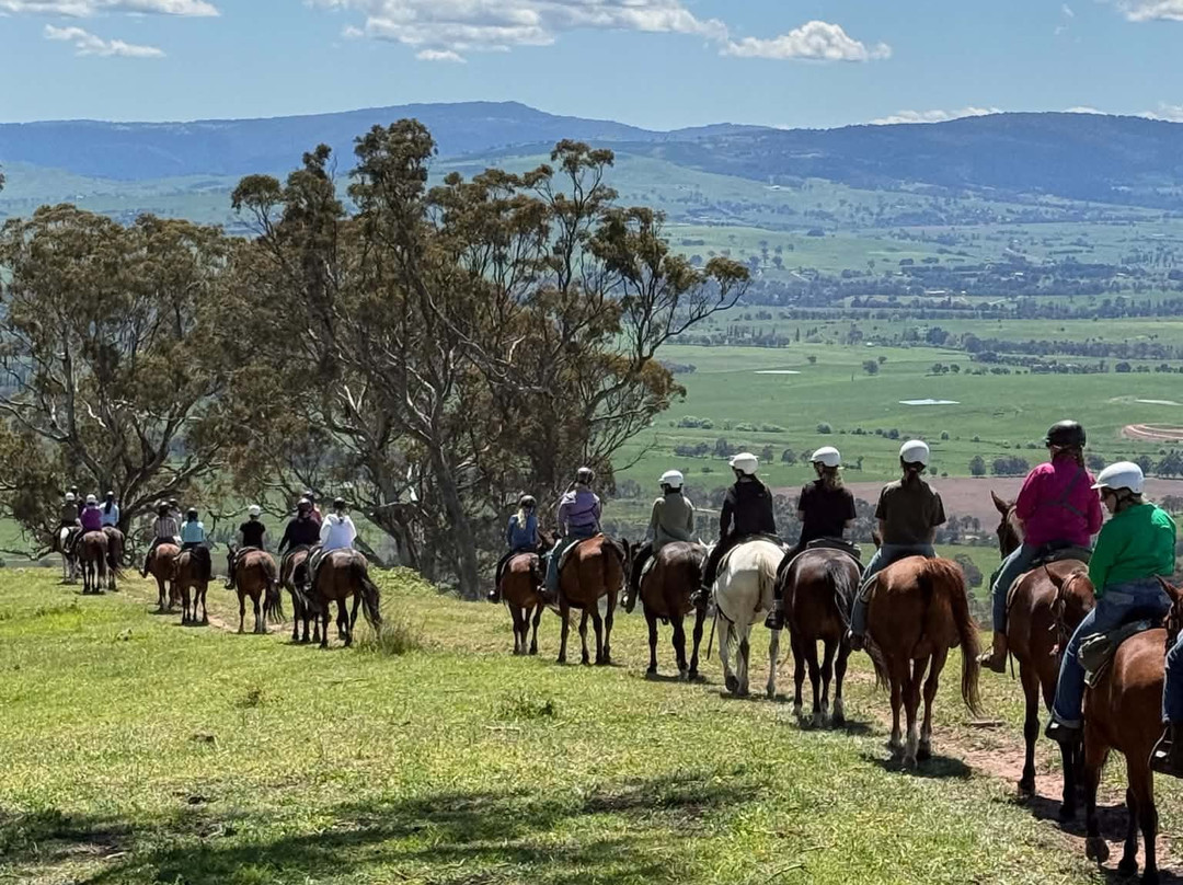 Watson's Mountain Country Trail Rides - Day Tours-曼斯菲尔德必去景点