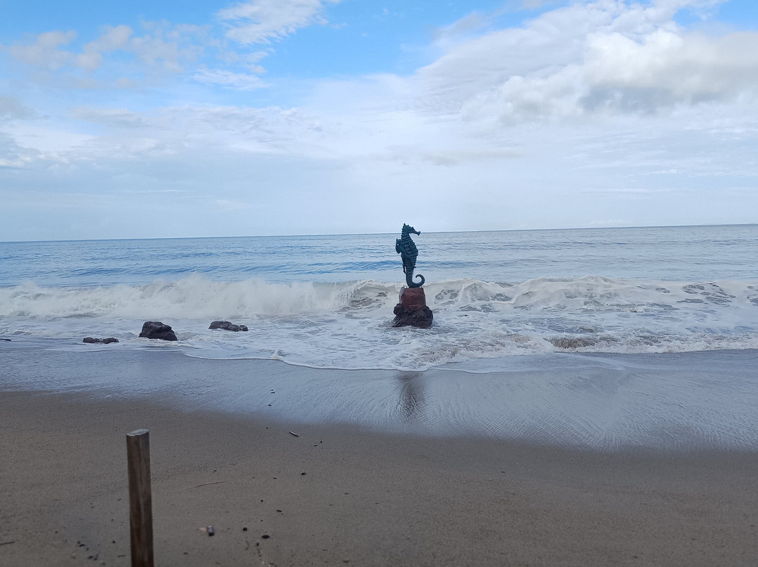 Playa de los Muertos-瓦拉塔港必去景点