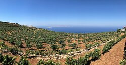 Manalis Winery-Sikinos必去景点