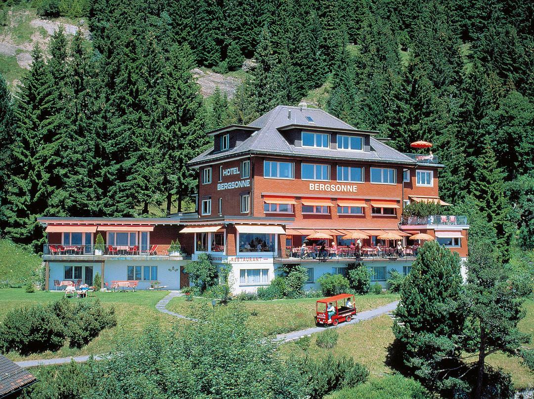 Rigi Kaltbad酒店住宿-Hotel Bergsonne Rigi