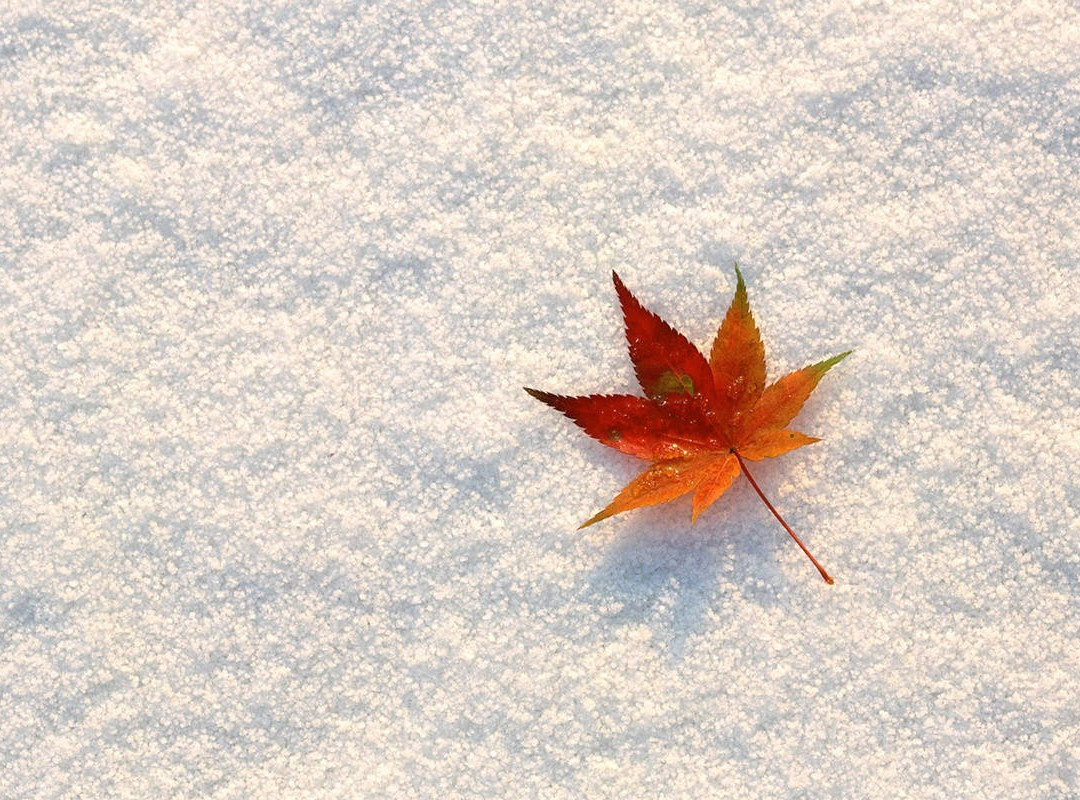 石门县旅游攻略图片