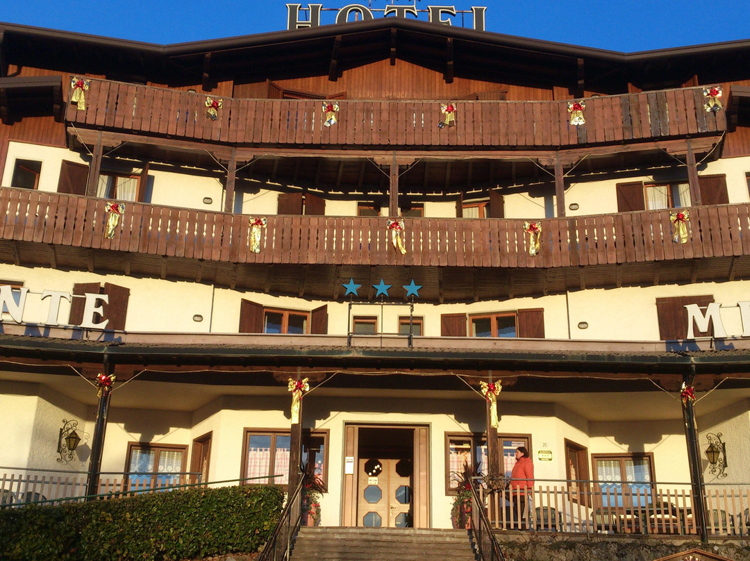 Castione della Presolana酒店住宿-Hotel Residence La Rosa