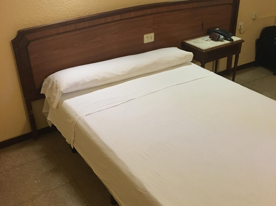 Hotel Residencia Patilla