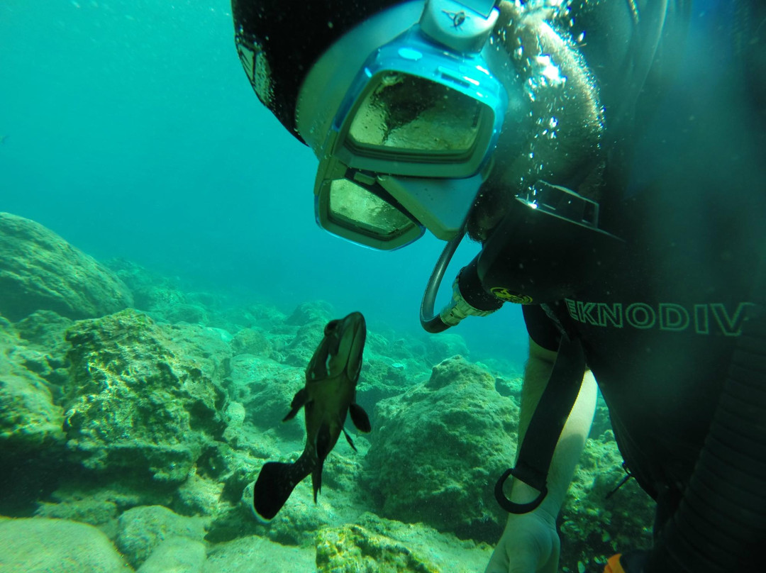Arian Diving Centre-卡达米那必去景点