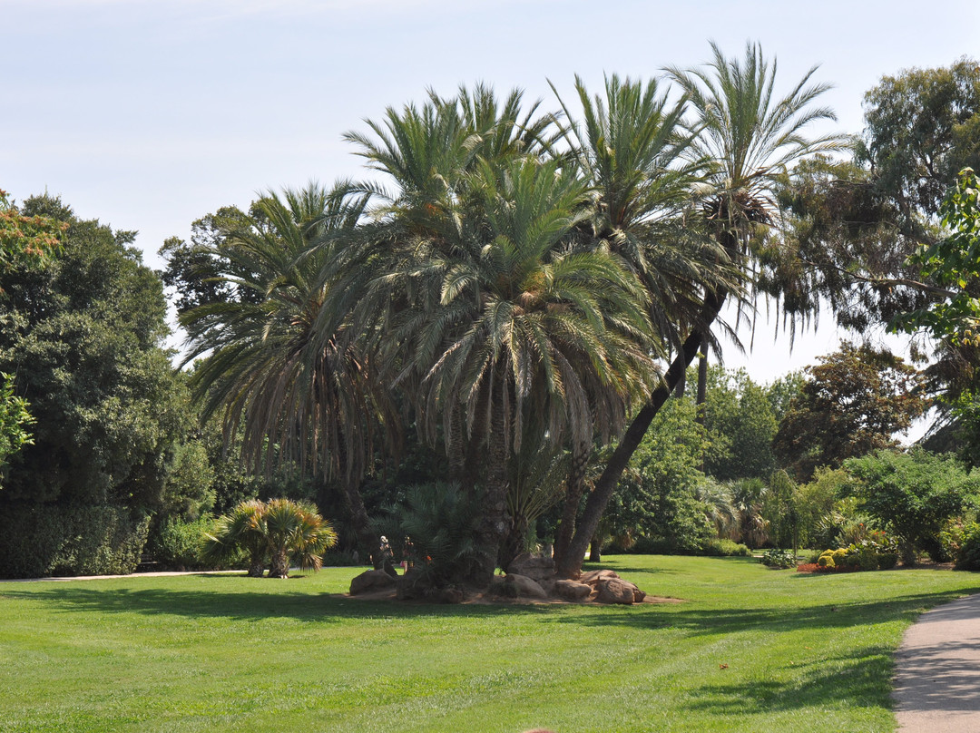 Parc Olbius-Riquier景点图片