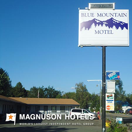 Blue Mountain Motel-官方