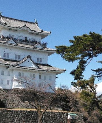 小田原城景点门票图片