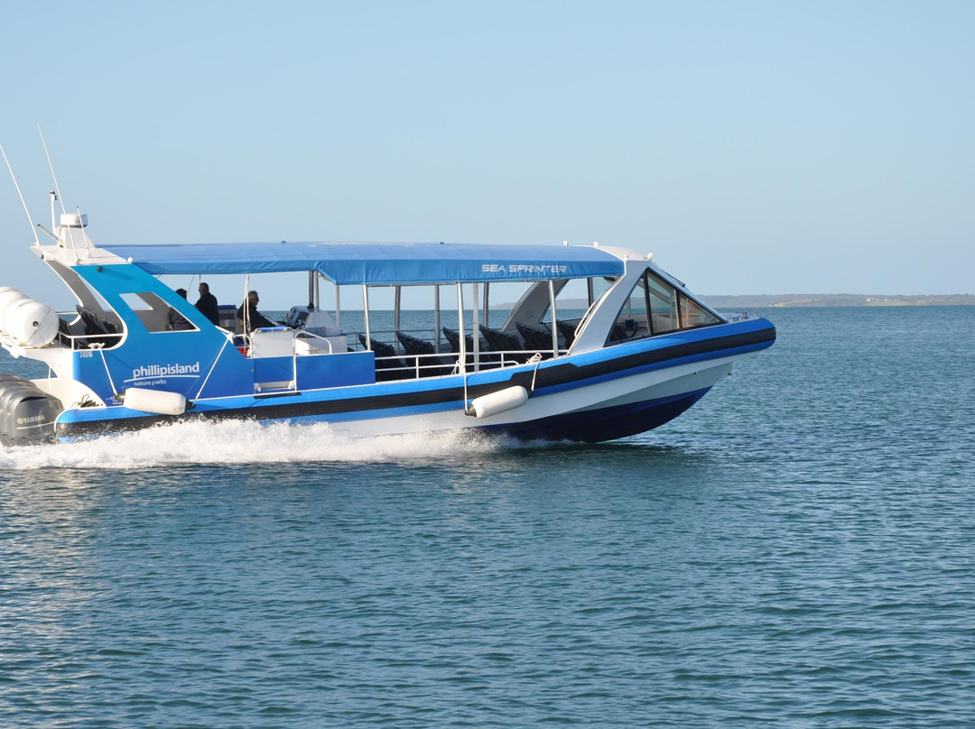 Phillip Island Nature Parks-考斯必去景点