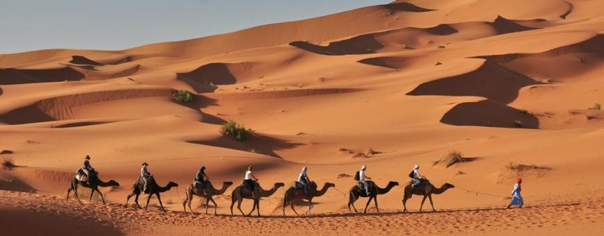 Zagora Desert Travel-扎古拉必去景点