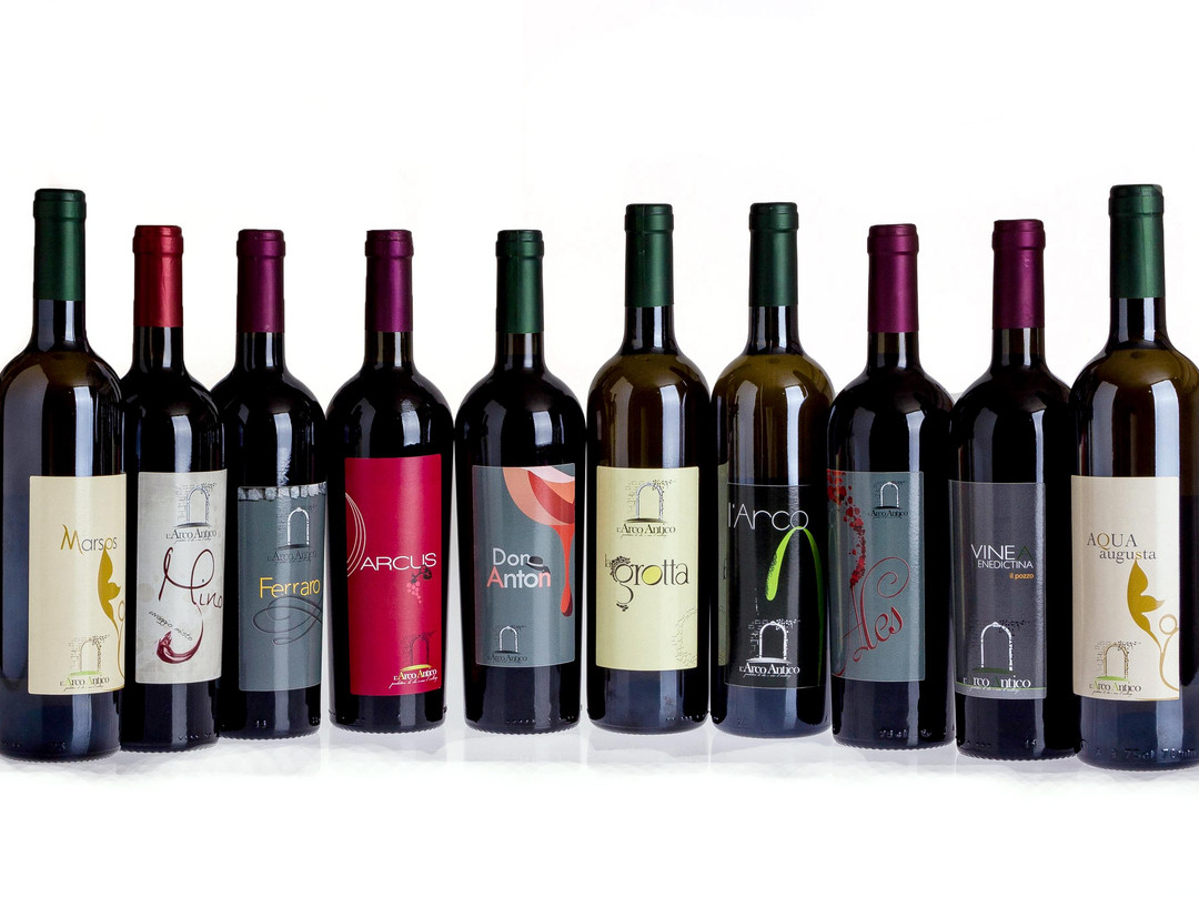 Azienda Agricola L'Arco Antico景点图片