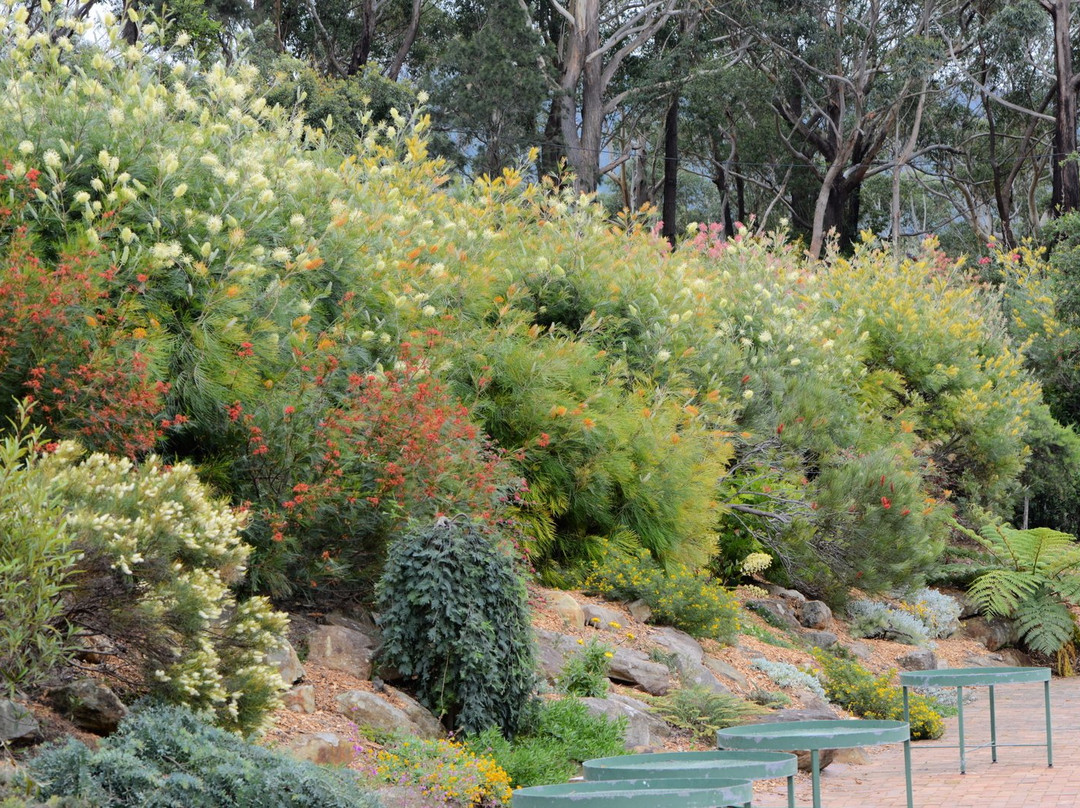 Illawarra Grevillea Park景点图片