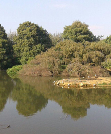 Austin Roberts Bird Sanctuary景点门票图片