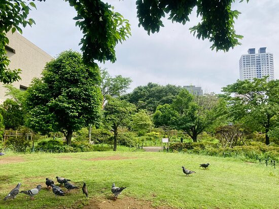 Heisei Tsutsuji Park景点图片