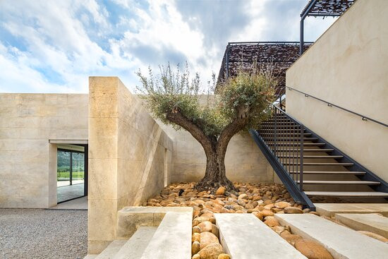 Domaine Oddo Vallon Des Glauges景点图片