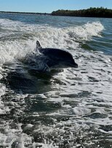 Paradise Charters-迈尔斯堡海滩必去景点