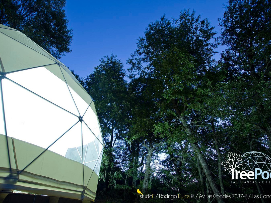 Glamping Domos Treepod