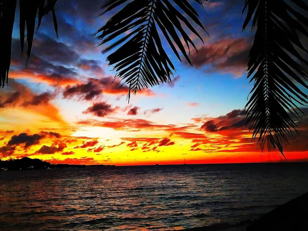 Holiday Garden Rasdhoo主图