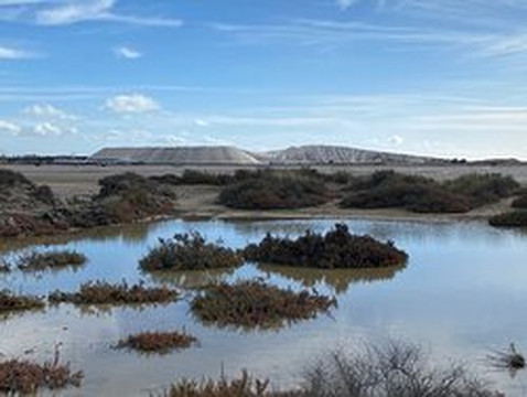 Salt Pan Observation Mound-Salin de Giraud必去景点