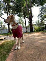 Carpe Diem Stay-家庭/游戏区