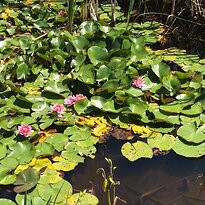 TarraWarra Museum of Art-希尔斯维尔必去景点