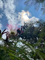 铁拉登特罗国家考古公园-Inza必去景点