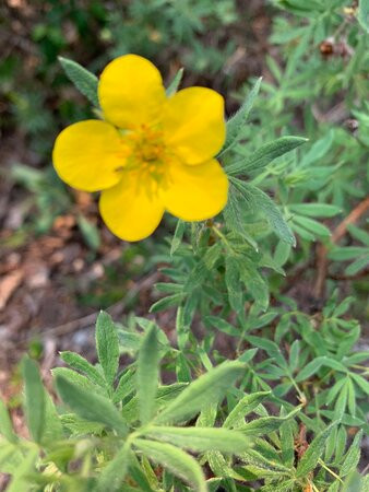 Kananaskis Valley-卡那那斯基斯必去景点