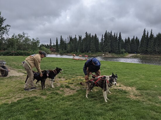 Trail Breaker Kennel-费尔班克斯必去景点