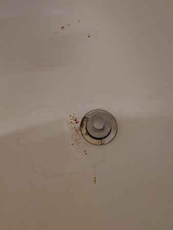 Fairfield by Marriott Inn & Suites Temple Belton主图