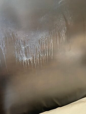 Holiday Inn Cleveland Northeast - Mentor By IHG主图