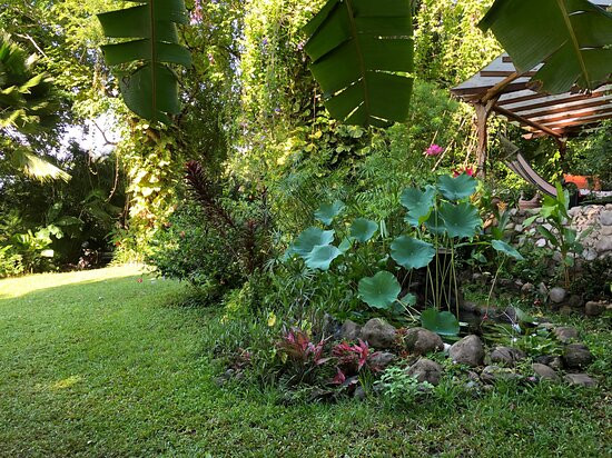 Hotel Amor de Mar主图