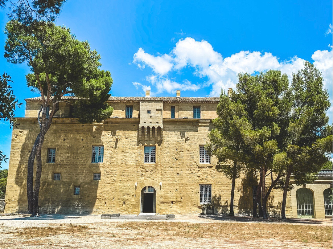 Château de Saumane景点图片
