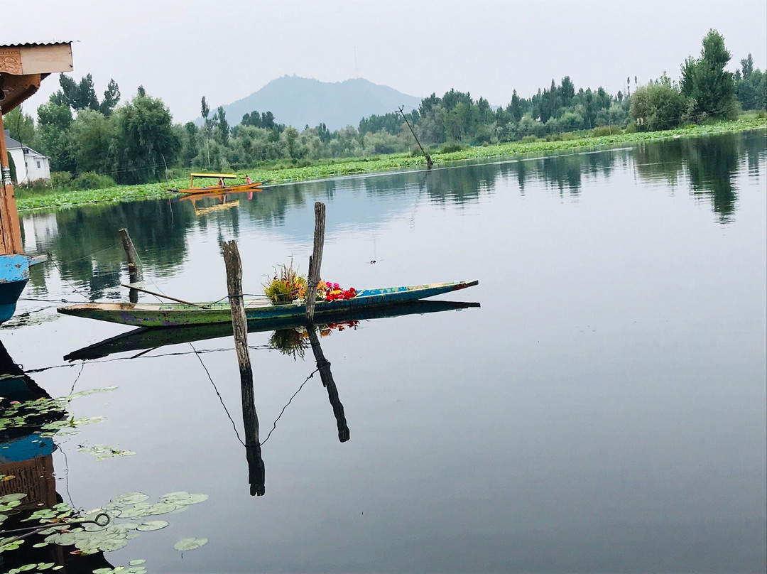 Dilshad Houseboats主图