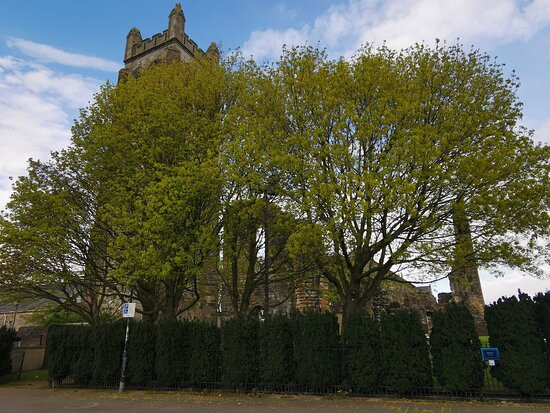 Kilwinning Abbey Tower景点图片