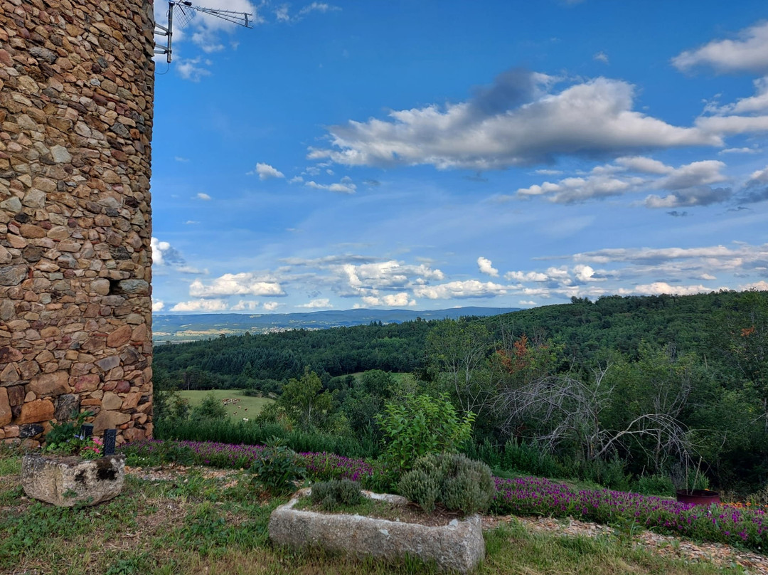 Le Donjon De La Reine Margot